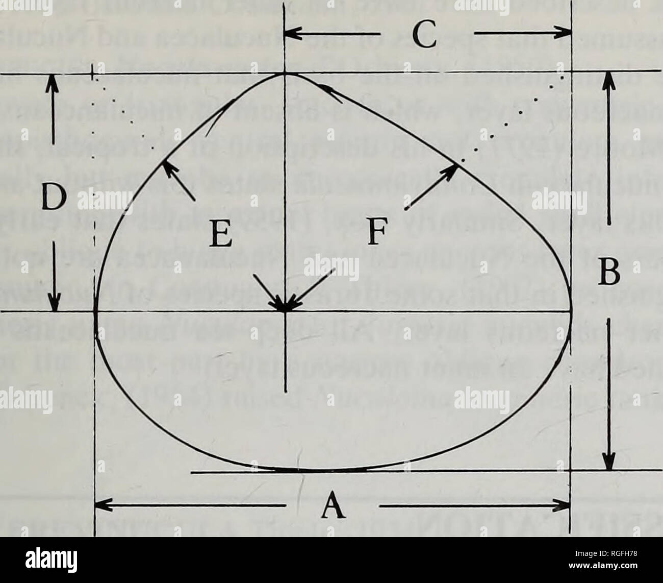 Bulletin Of The British Museum Natural History Zoology Studies On The Deep Sea Protobranchia Bivalvia The Family Nuculidae 63 Fig 1 Measurements Mm A B C D E F Amp G Together
