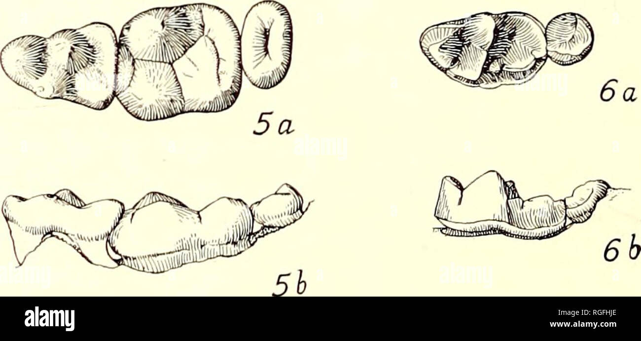  bulletin of the department of geology geology 478 university of