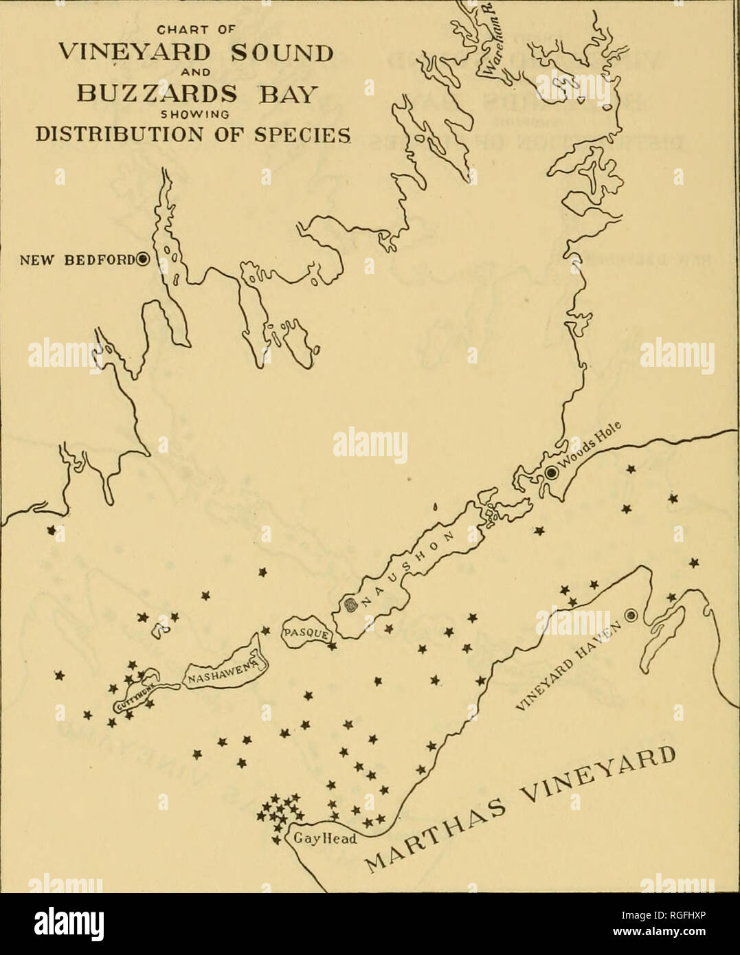 . Bulletin of the Bureau of Fisheries. Fisheries; Fish culture. 5i6 BULLETIN OF THE BUREAU OF FISHERIES. CHART OF VINEYARD SOUND AND BUZZARDS BAY SHOWING DISTRIBUTION OF SPECIES NEW BEDFORD®! 0. Chart 246.—Polysiphonia elongata (Hudson) Harvey. Prefers the cooler waters of the lower portion of Buzzards Bay and the westerly portion of Vineyard Sound, but presents a somewhat scattered distribution.. Please note that these images are extracted from scanned page images that may have been digitally enhanced for readability - coloration and appearance of these illustrations may not perfectly resembl Stock Photo