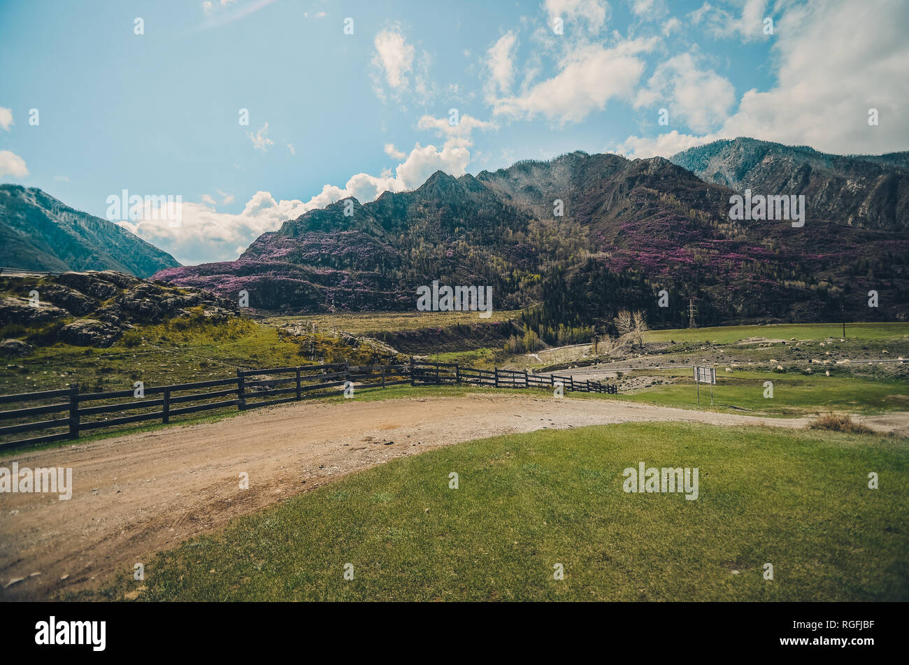 Mountain valley, beautiful landscape with an old road. Spring bloom in mountains Stock Photo