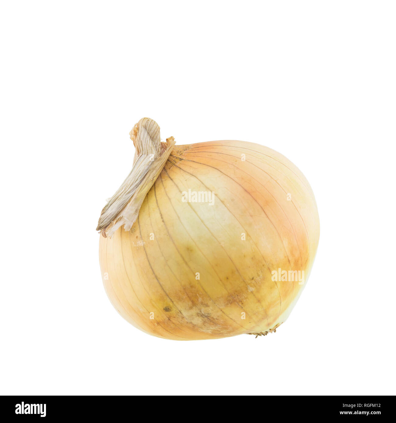 Onion isolated on white background Stock Photo - Alamy
