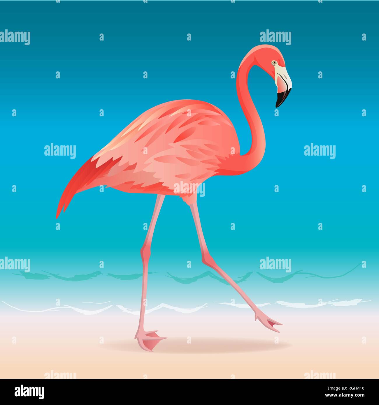 Exotic pink flamingo walking on the hot summer beach. Pink flamingo vector illustration. Stock Vector