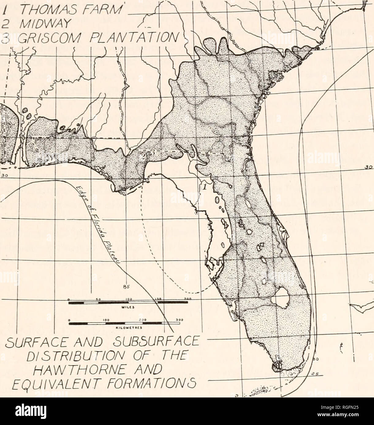 . Bulletin of the Museum of Comparative Zoology at Harvard College. Zoology. white: LOWER MIOCENE MAMMAL FAUNA OF FLORIDA 41 At Alum Bluff, 4j/£ miles north of Blountstown, Liberty Co., Florida Cooke and Mossom (1928, p. 108) record an unconformity between the Chipola formation and the overlying, plant-bearing beds whose age is / THOMAS FARM 2 MIDWAY 3 GRISCOM PLANTATION. SURFACE AND SUB5URFACE DISTRIBUTION OF THE HAWTHORNE AND EQUIVALENT FORMATIONS Fig. 9. Distribution of Hawthorne and equivalent formations. still in doubt. This locality is so close to the north boundary of the Oke- fenokee T Stock Photo