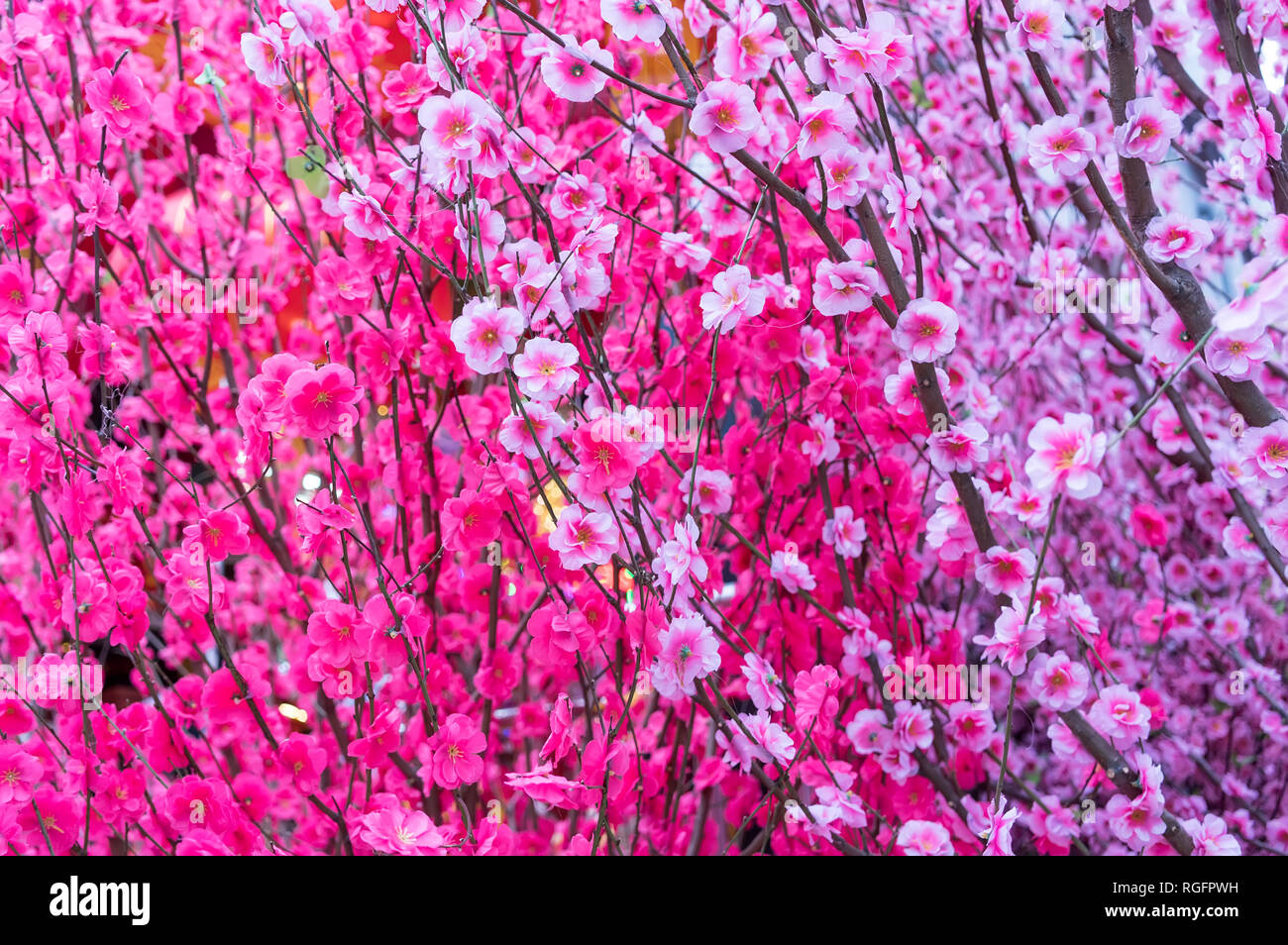 artificial peach blossoms on a branch Stock Photo Alamy
