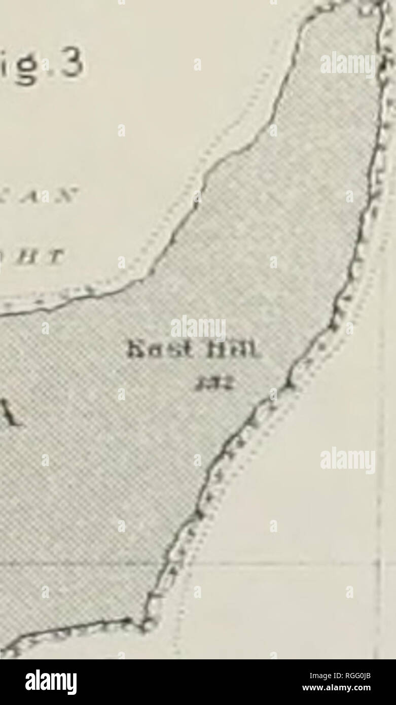 Bulletin Of The Museum Of Comparative Zoology At Harvard College Zoology Af Vaim Gt K Gt Fig I J T S U N 1 Jf A R Ai C A A I A