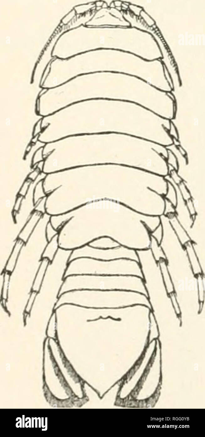 Adapted antenna hires stock photography and images Alamy
