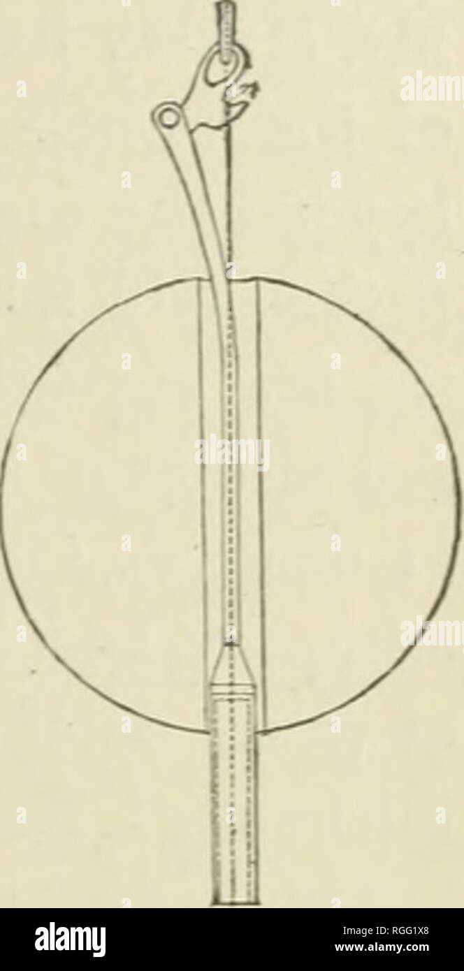 . Bulletin of the Museum of Comparative Zoology at Harvard College