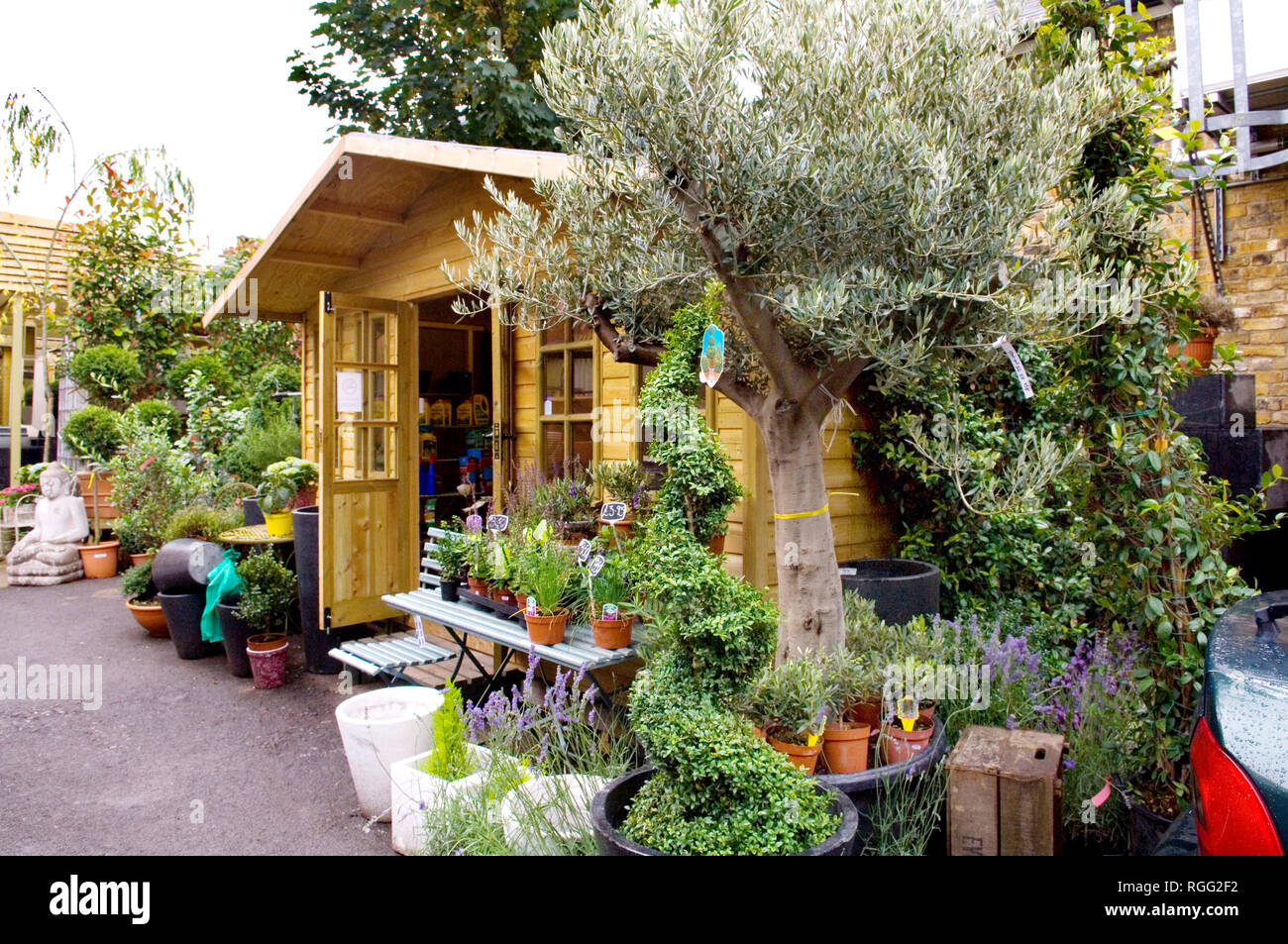 Urban Garden Centre, Wheelers Garden Centre, Turnham Green, London