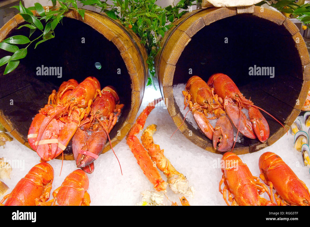 Lobster for sale on the fish counter, Harrods food department Stock