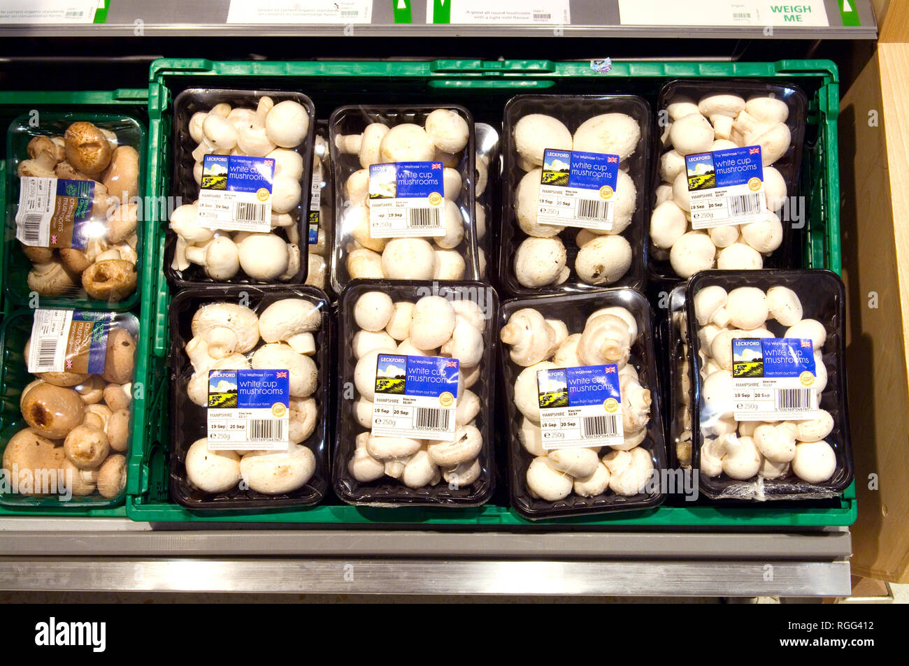 Waitrose English grown mushrooms. Stock Photo