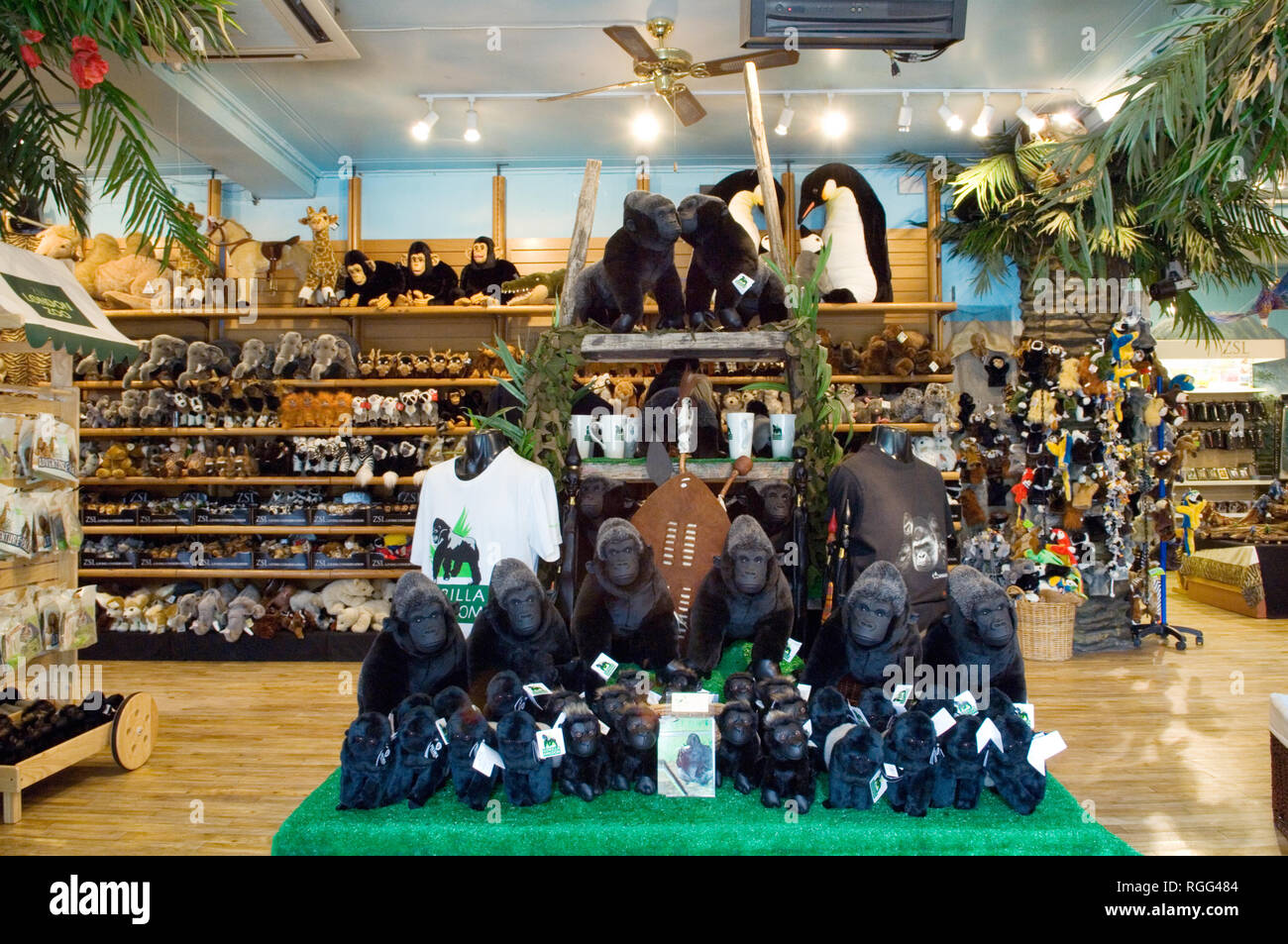 London Zoo gift shop Stock Photo