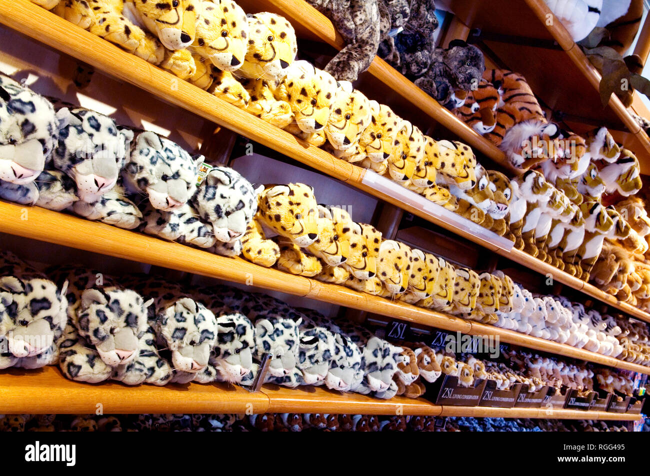 Rows of toy animals for sale in London Zoo gift shop Stock Photo
