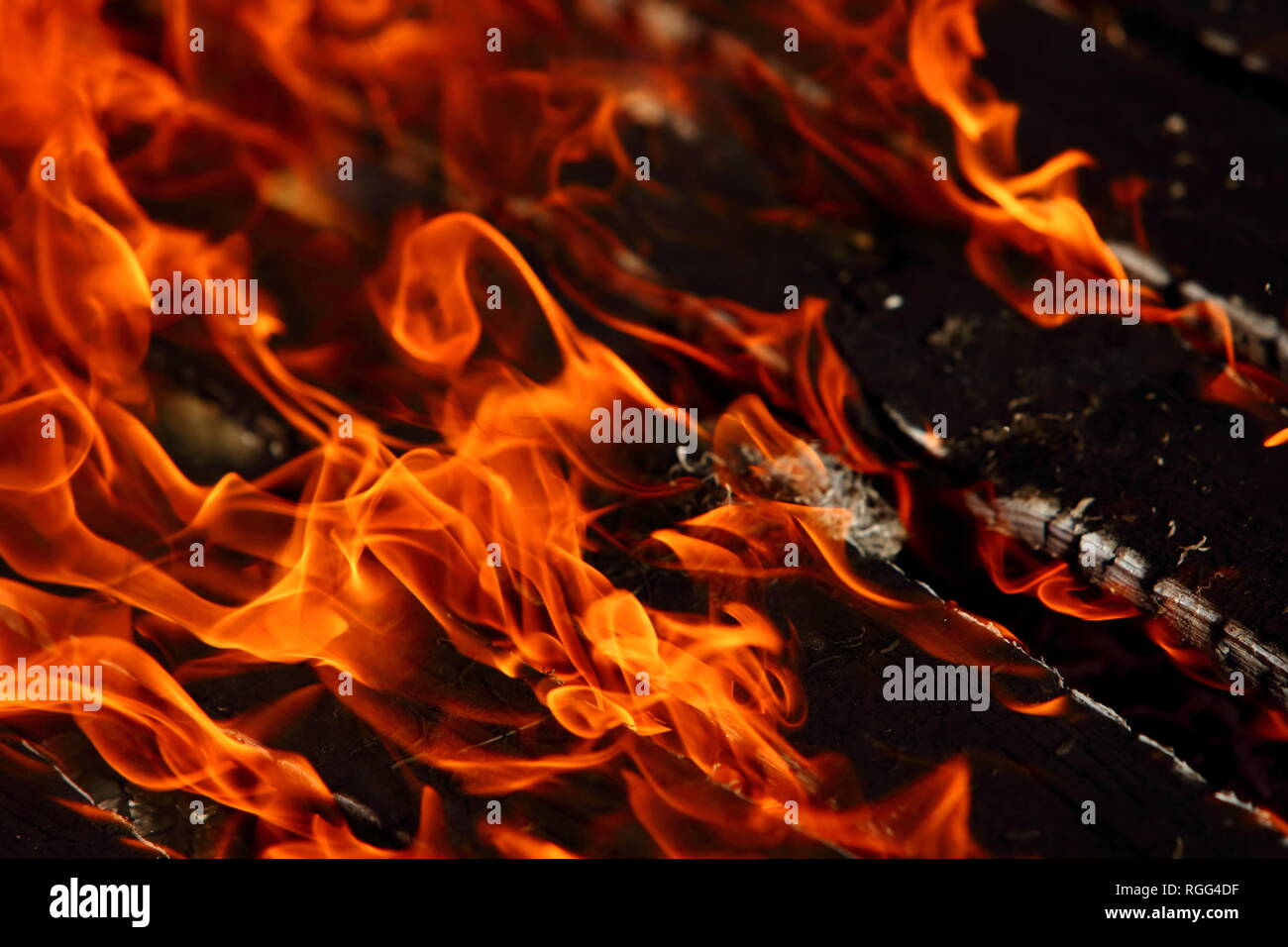 Fire Is A Phenomenon Of Nature That Turns All Flammable Materials Into fire-is-a-phenomenon-of-nature-that-turns-all-flammable-materials-into