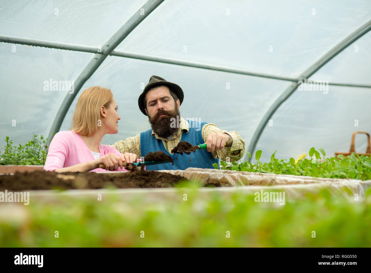 soil enrichment. soil enrichment with organic fertile. soil enrichment