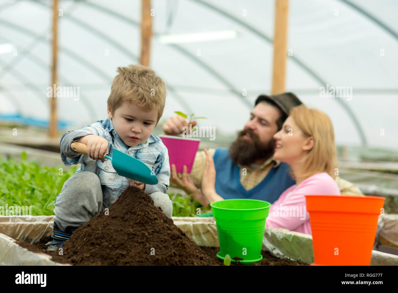rich land. land rich with fertile. rich land for growing plants. family in greenhouse work with rich land. family gardening. Stock Photo