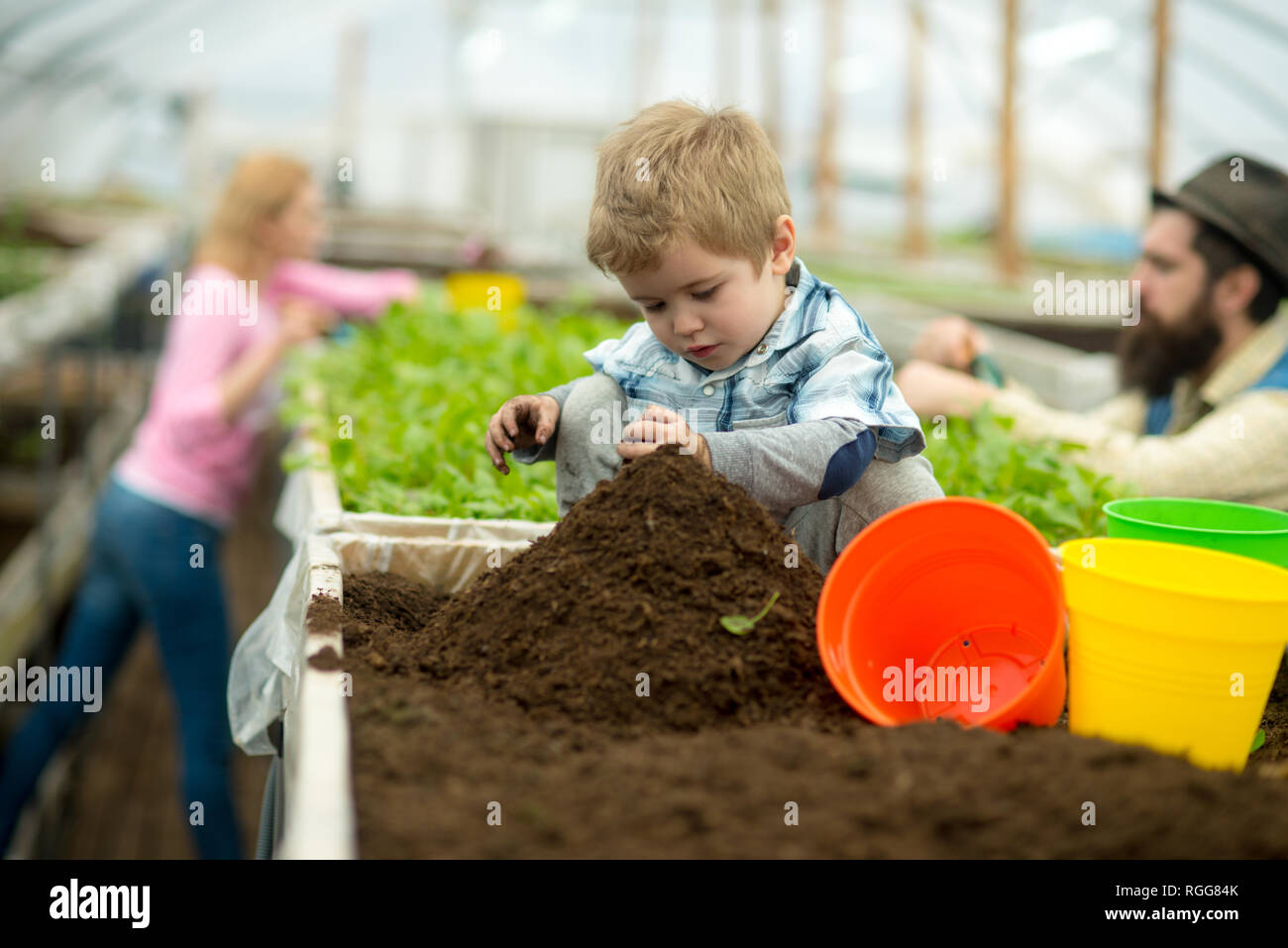 pure soil. pure soil enrichment. small boy work with pure soil. pure soil in greenhouse