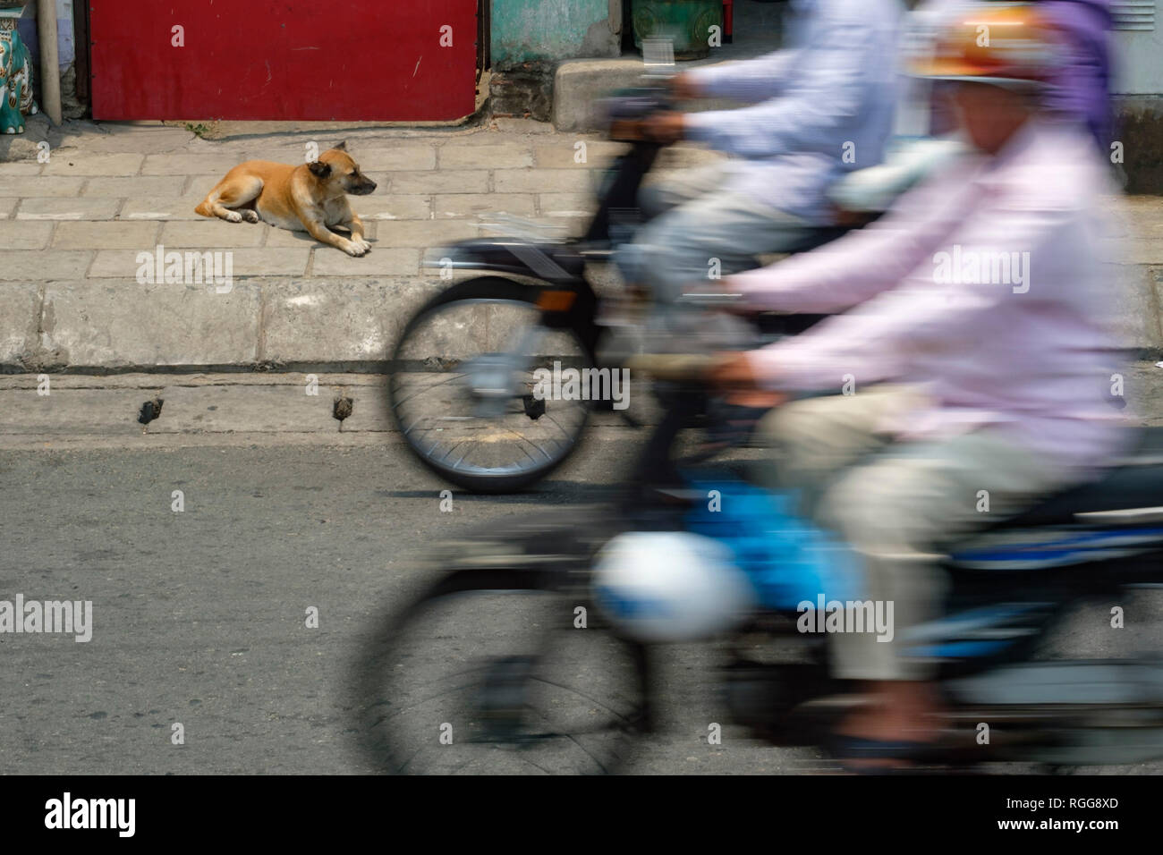 Stray dog lying down on the street sidewalk as people pass by on motorcycles in Ho Chi Minh City, Vietnam, Southeast Asia Stock Photo