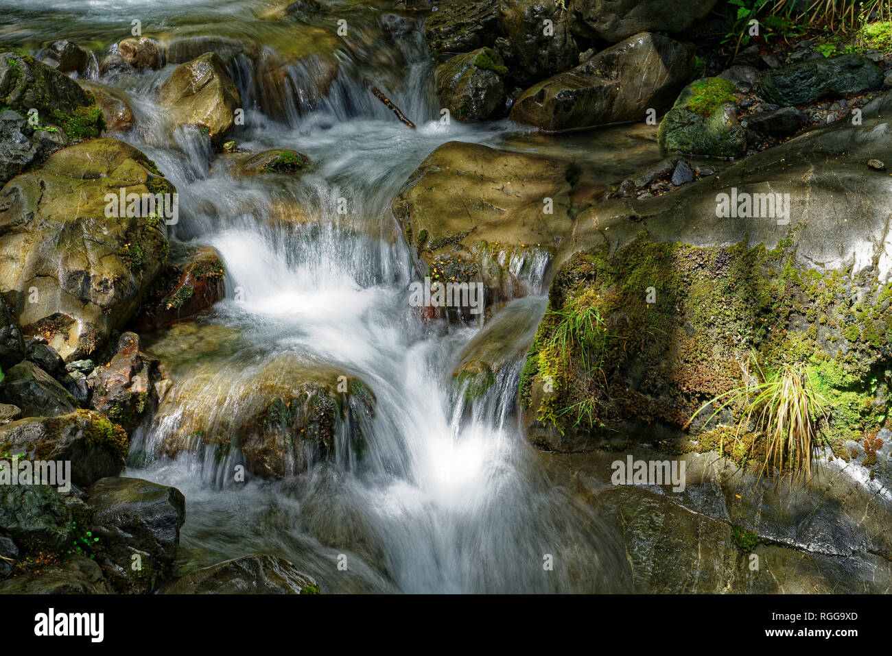 Cascade or waterfall in a mountain stream, St James Walkway, Lewis Pass