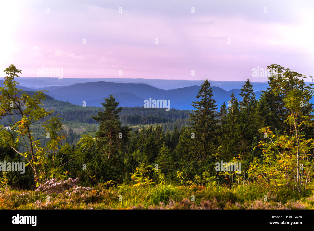 mountain range and nature of Northern Black Forest, Schliffkopf, Germany, near Black Forest High Road, National Park Black Forest near Freudenstadt Stock Photo
