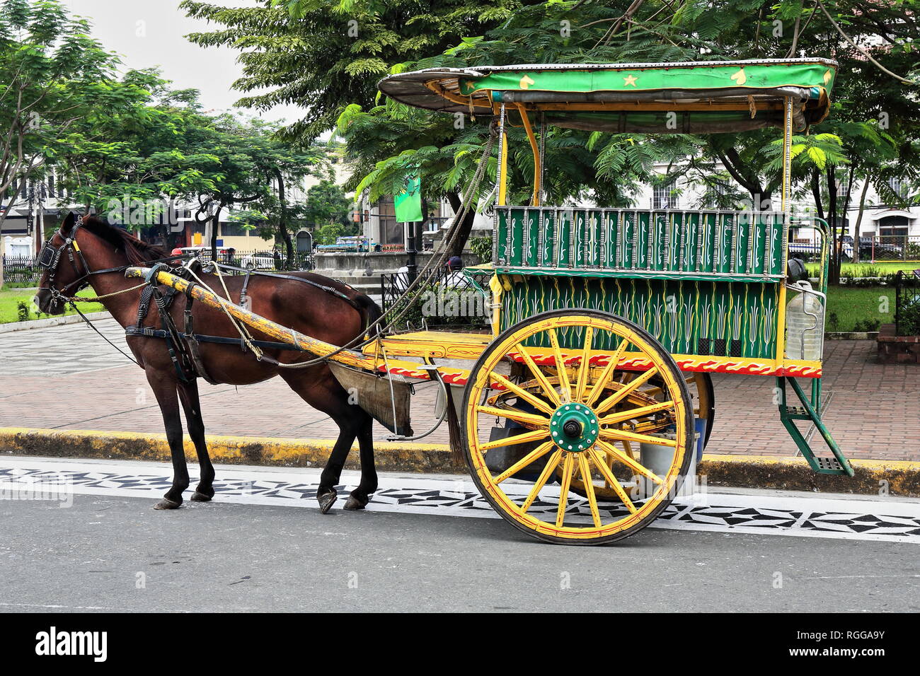 Horse drawn kalesa-calash stopped at Sto.Tomas Street-Plaza de Roma Square at the door of the Cathedral while waiting for passengers visiting the Intr Stock Photo