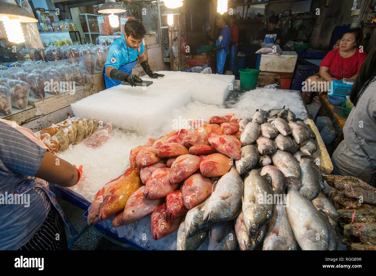 fresh fish at the seafood and fish market at the Naklua Fish Market in