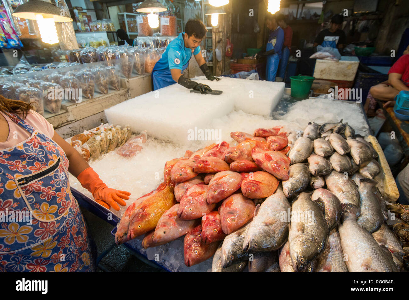 fresh fish at the seafood and fish market at the Naklua Fish Market in