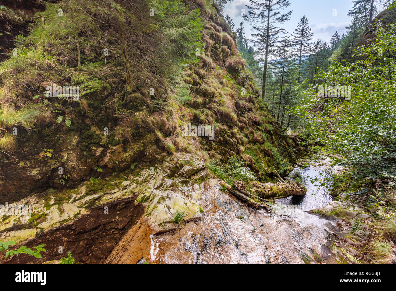 All Saints Waterfalls, town Oppenau, Northern Black Forest, Germany, upper section Stock Photo