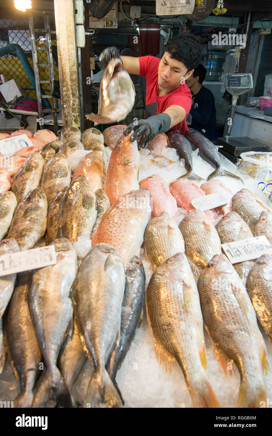 fresh fish at the seafood and fish market at the Naklua Fish Market in