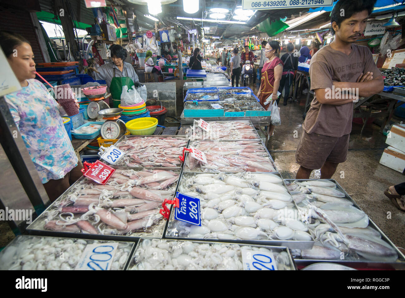 fresh squid at the seafood and fish market at the Naklua Fish Market in