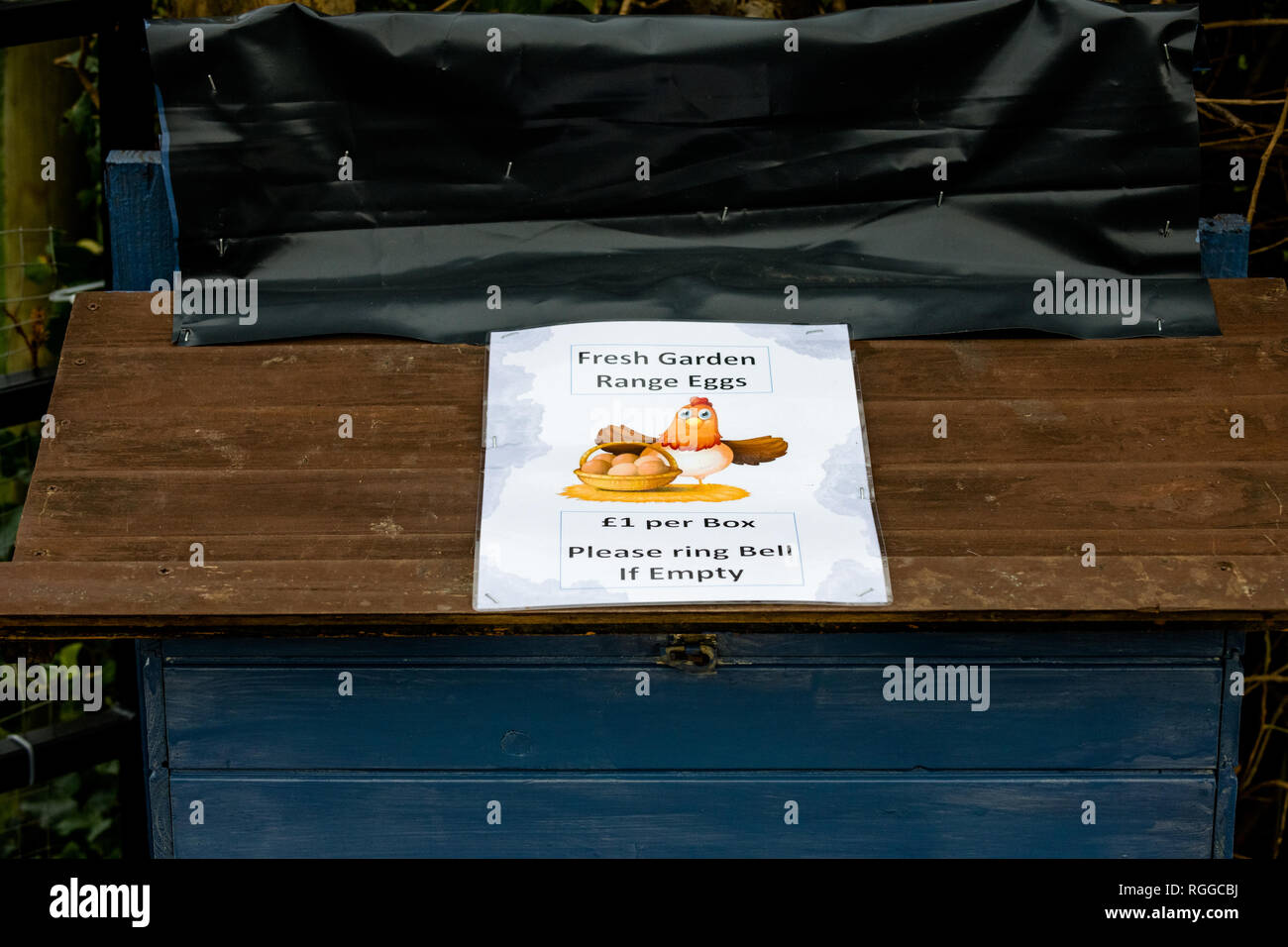 Fresh garden range eggs for sale from a large wooden honesty box. Stock Photo