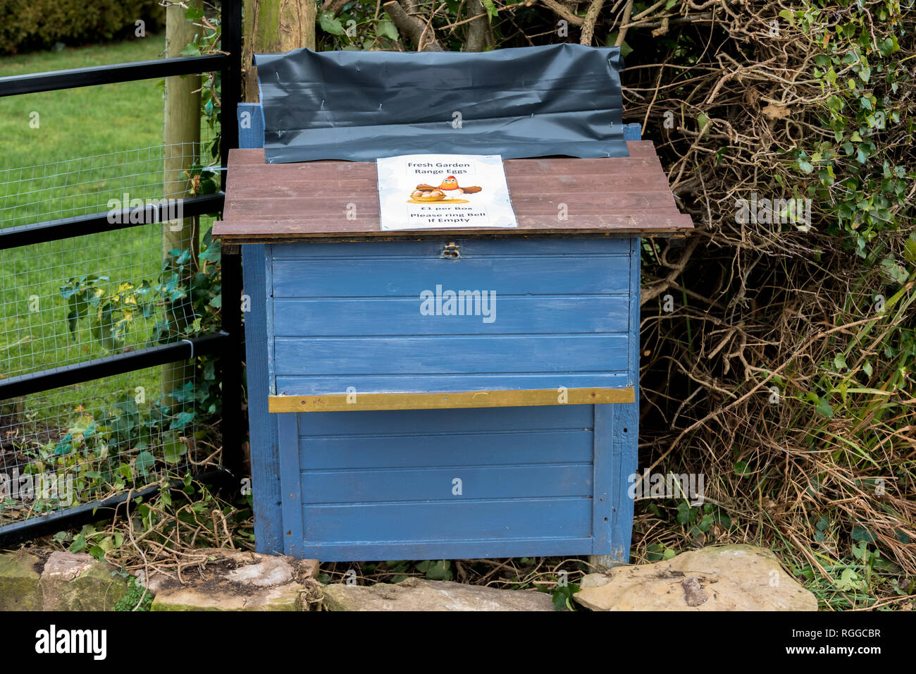 Fresh garden range eggs for sale from a large wooden honesty box. Stock Photo