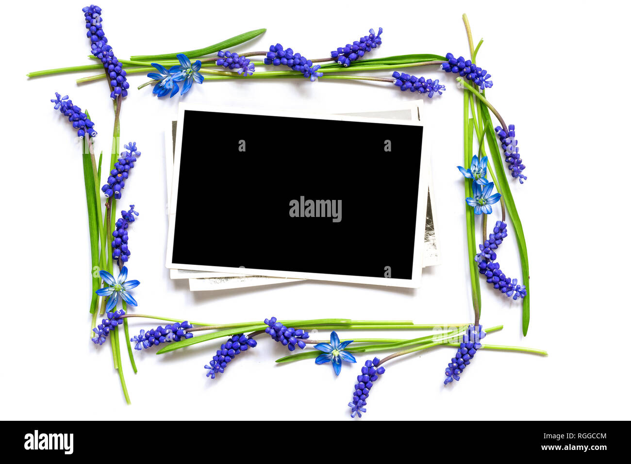 blank photo in a frame of spring blue flowers isolated on white background to put your picture. mock up. top view Stock Photo