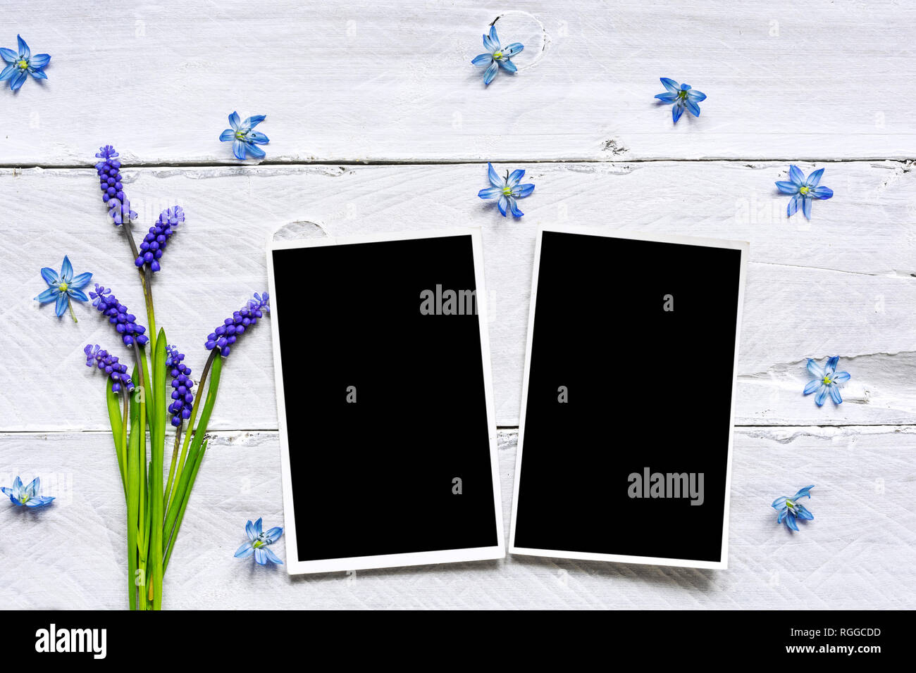 blank photo frames and spring blue flowers bouquet on white wooden background. mock up. top view. sprig concept Stock Photo