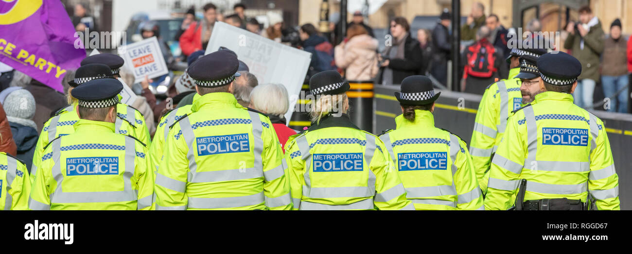 Westminster, London, UK; 29th January 2019; Group of Metropolitan Police Officers Policing a Pro-Brexit Demonstration Outside Parliament Stock Photo