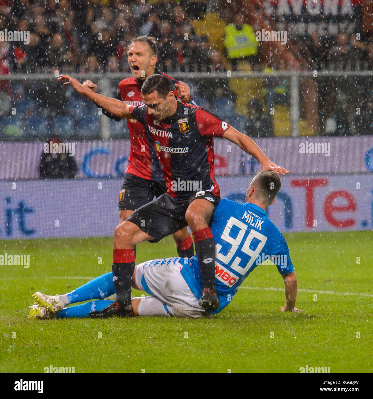 GENOVA - NOV 10, 2018: Genoa Fans. C.F.C Genoa - SSC Napoli