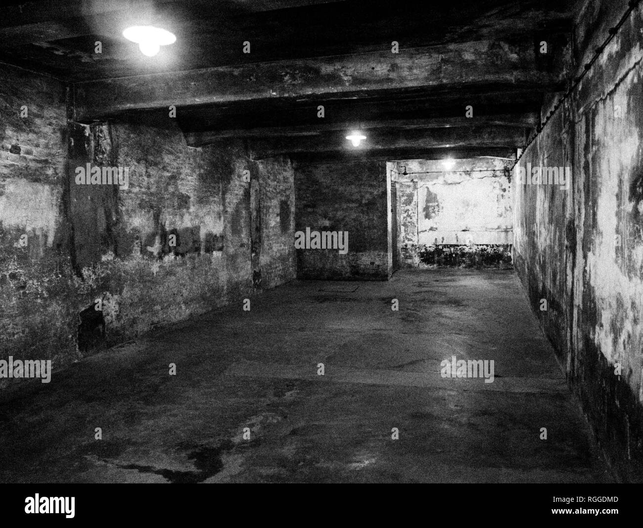 Interior of gas chamber, Auschwitz concentration and extermination camp, Oswiecim, Poland Stock Photo