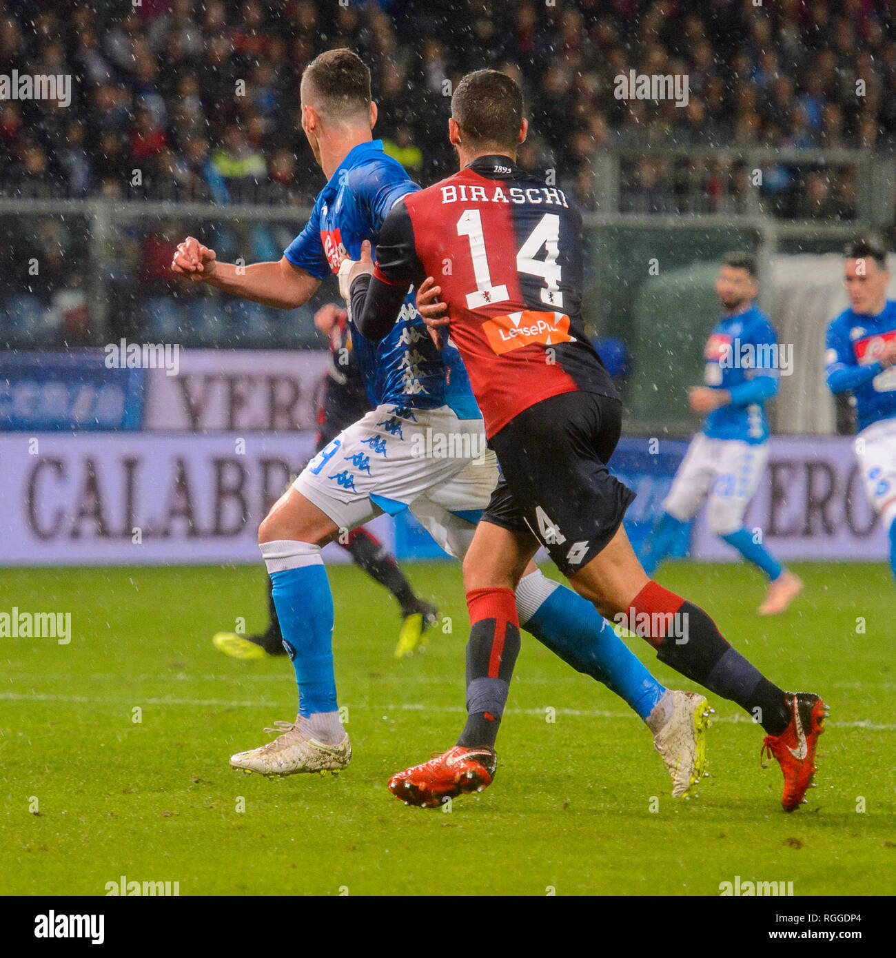 GENOVA - NOV 10, 2018: Genoa Fans. C.F.C Genoa - SSC Napoli