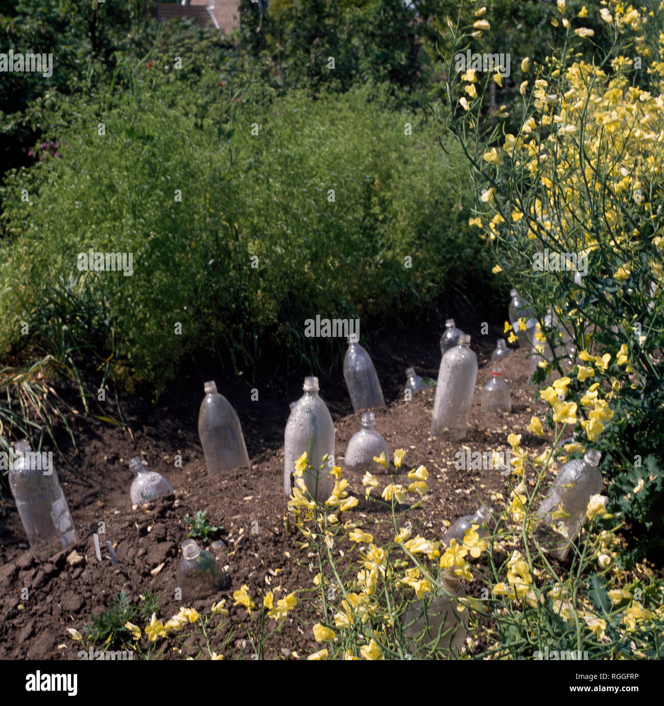 Upcycling plastic bottles hires stock photography and images Alamy