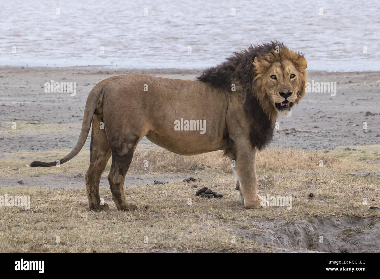 Full portrait hi-res stock photography and images - Alamy