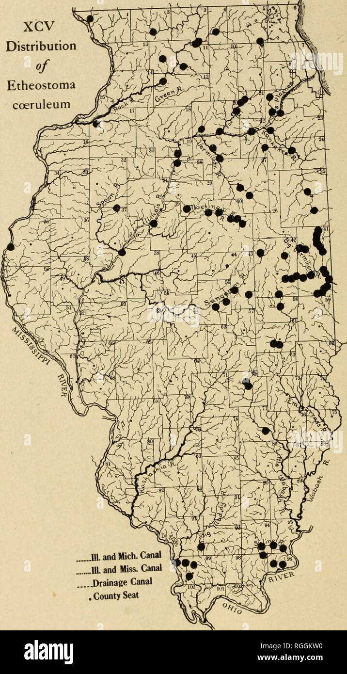 . Bulletin of the Illinois State Laboratory of Natural History. Natural history. xcv Distribution Etheostoma coeruleum. .Hi. and Mich. Canal HI. and Miss. Canal .....Drainage Canal .County Seat. Please note that these images are extracted from scanned page images that may have been digitally enhanced for readability - coloration and appearance of these illustrations may not perfectly resemble the original work.. Illinois State Laboratory of Natural History. Bloomington, Ill. : The Laboratory Stock Photo