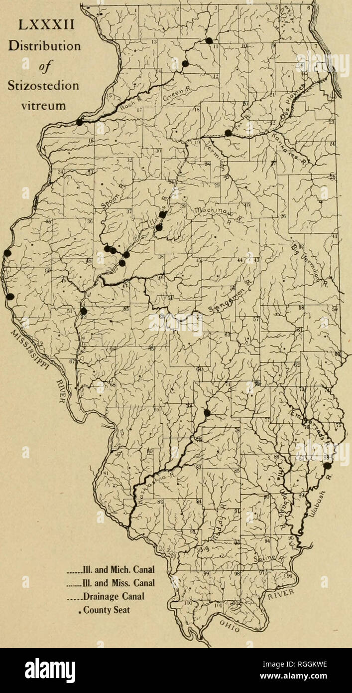 . Bulletin of the Illinois State Laboratory of Natural History. Natural history. LXXXII Distribution of Stizostedion vitreum. ...III. and Mich. Canal ....III. and Miss. Canal ...Drainage Canal . County Seat. Please note that these images are extracted from scanned page images that may have been digitally enhanced for readability - coloration and appearance of these illustrations may not perfectly resemble the original work.. Illinois State Laboratory of Natural History. Bloomington, Ill. : The Laboratory Stock Photo