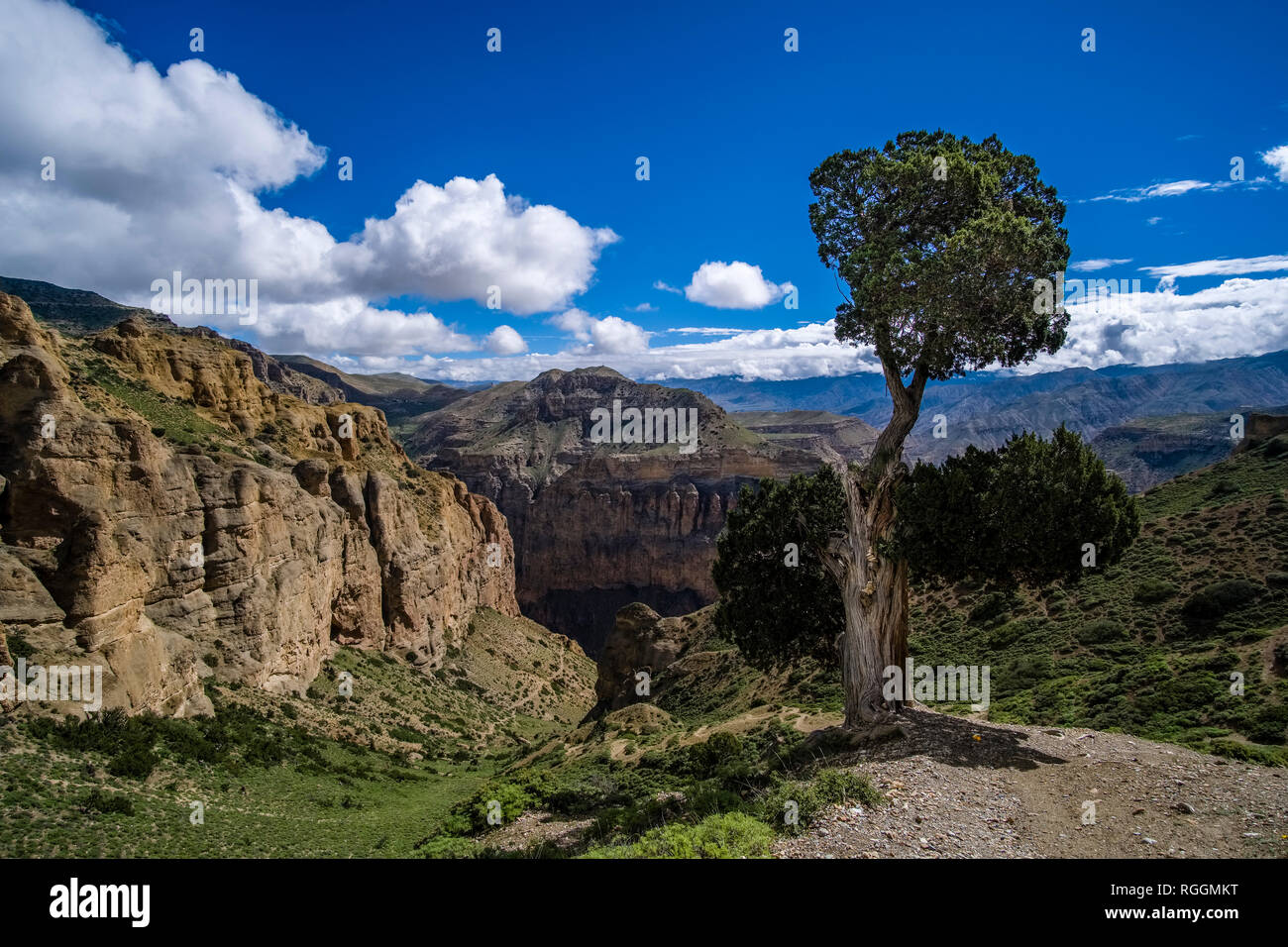 Alpine landscape with steep rock faces and trees in Upper Mustang Stock Photo