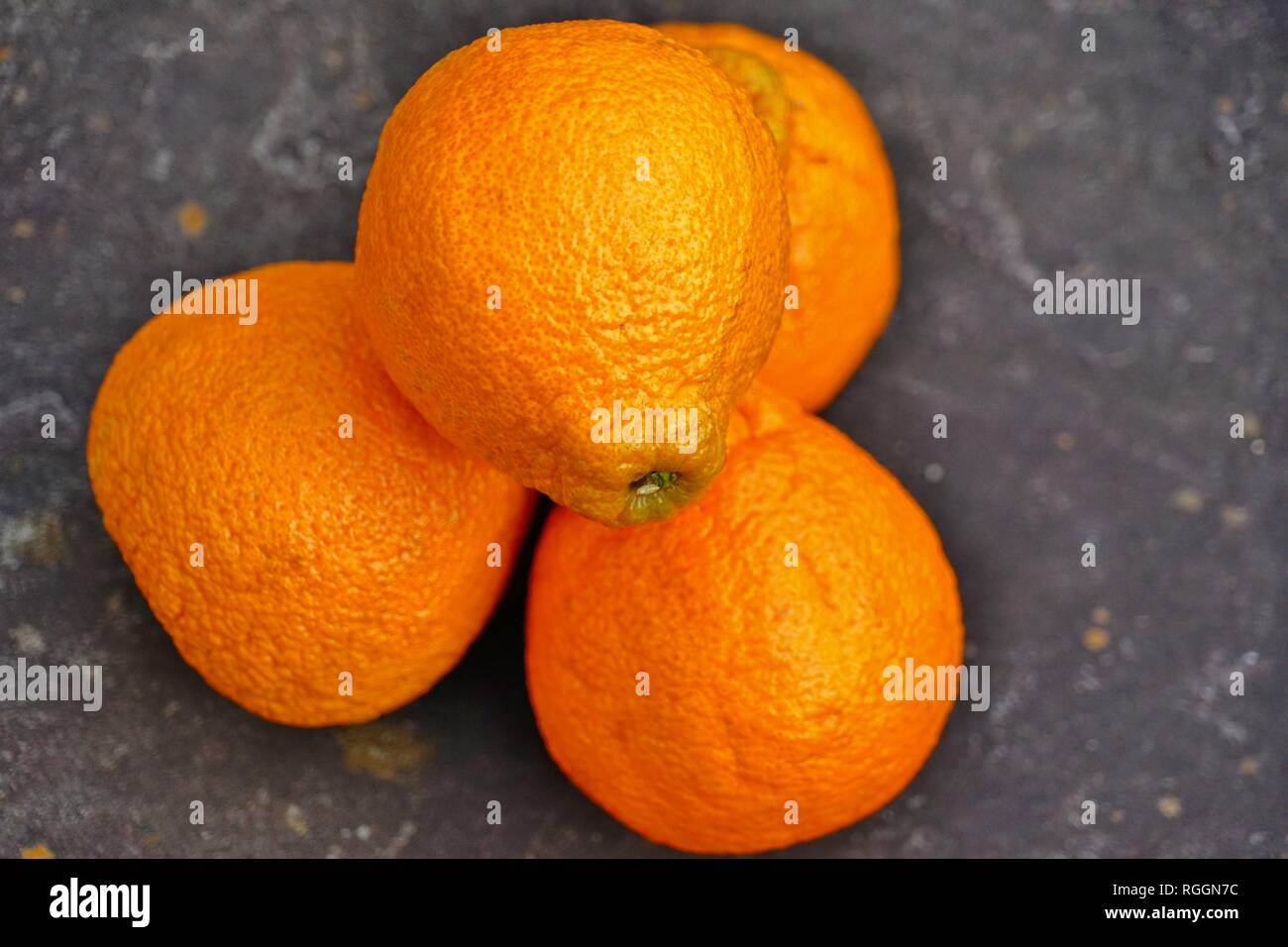 turns out sumo citrus are giant mandarins from Japan & they lived