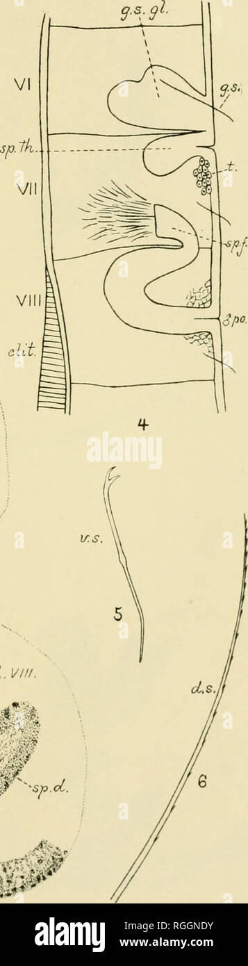 3 Xy High Resolution Stock Photography And Images Alamy