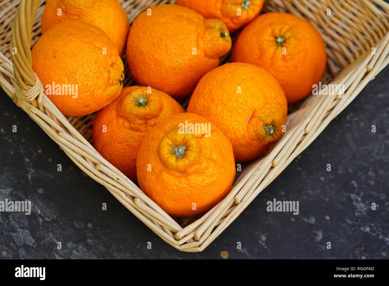 Sumo Oranges Stock Photos - Free & Royalty-Free Stock Photos from