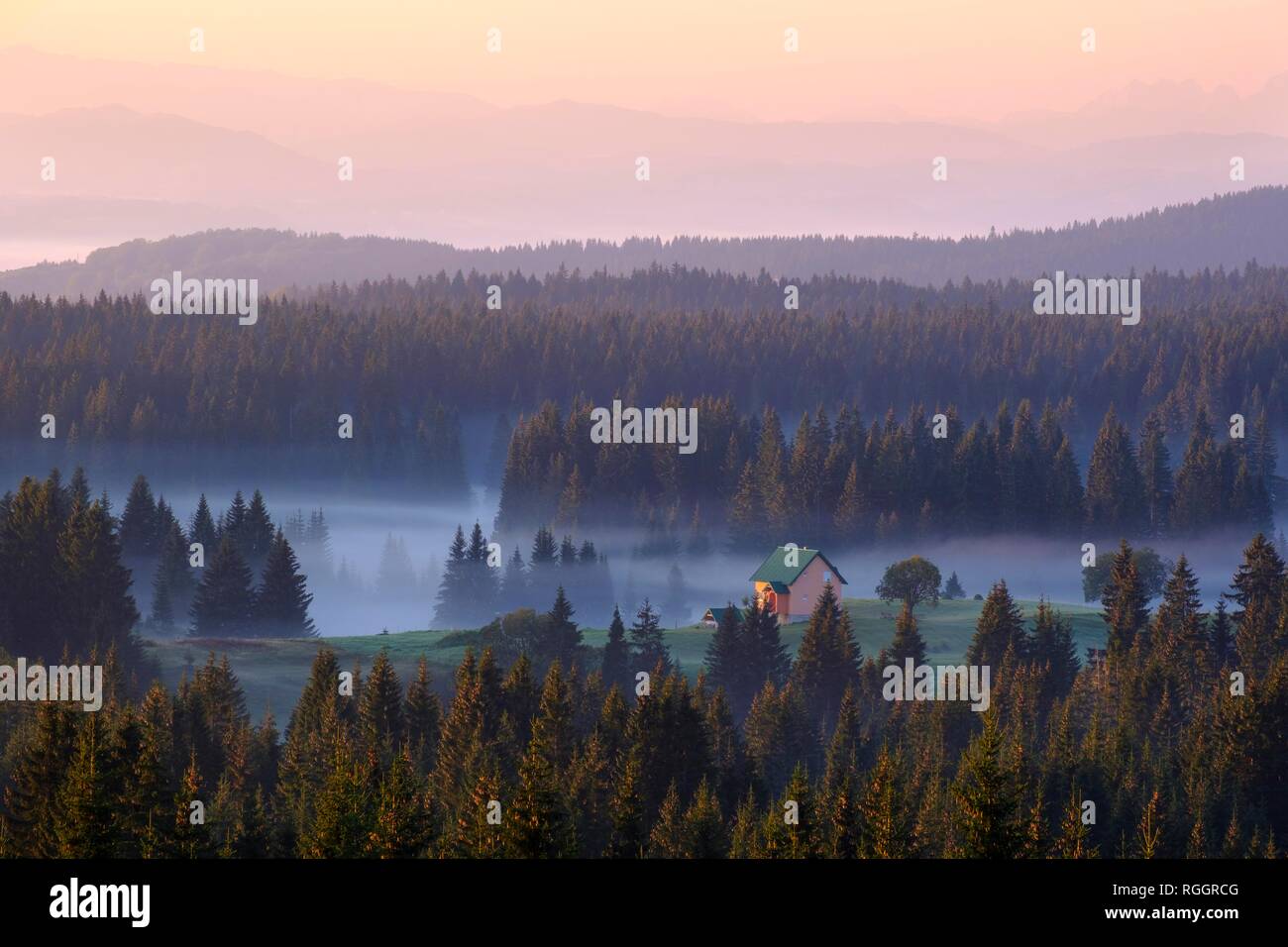 Small house on alp in the forest with morning fog, view from Curevac, National Park Durmitor, Province Zabljak, Montenegro Stock Photo
