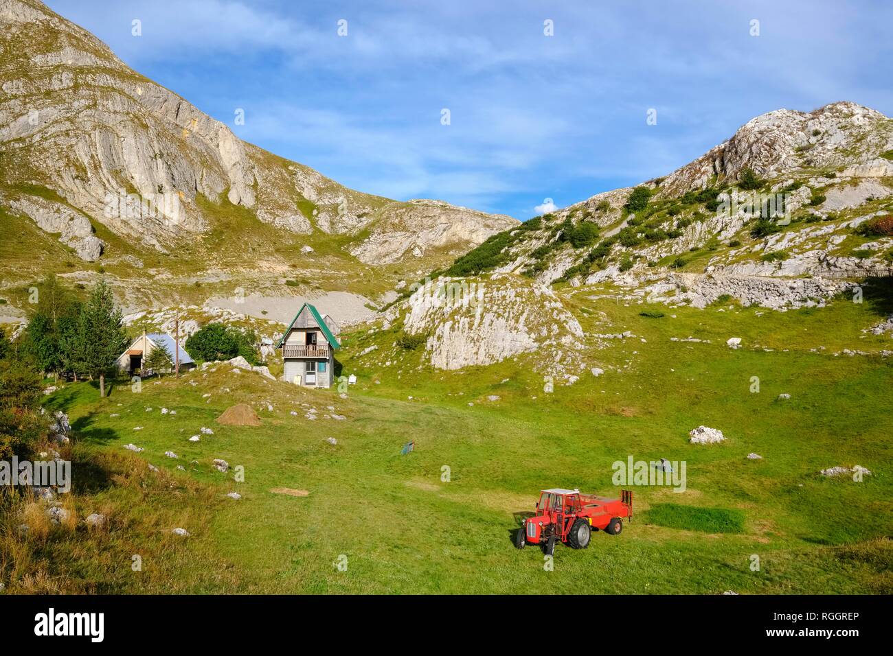 Alm, Durmitor massif, Pluzine province, Montenegro Stock Photo