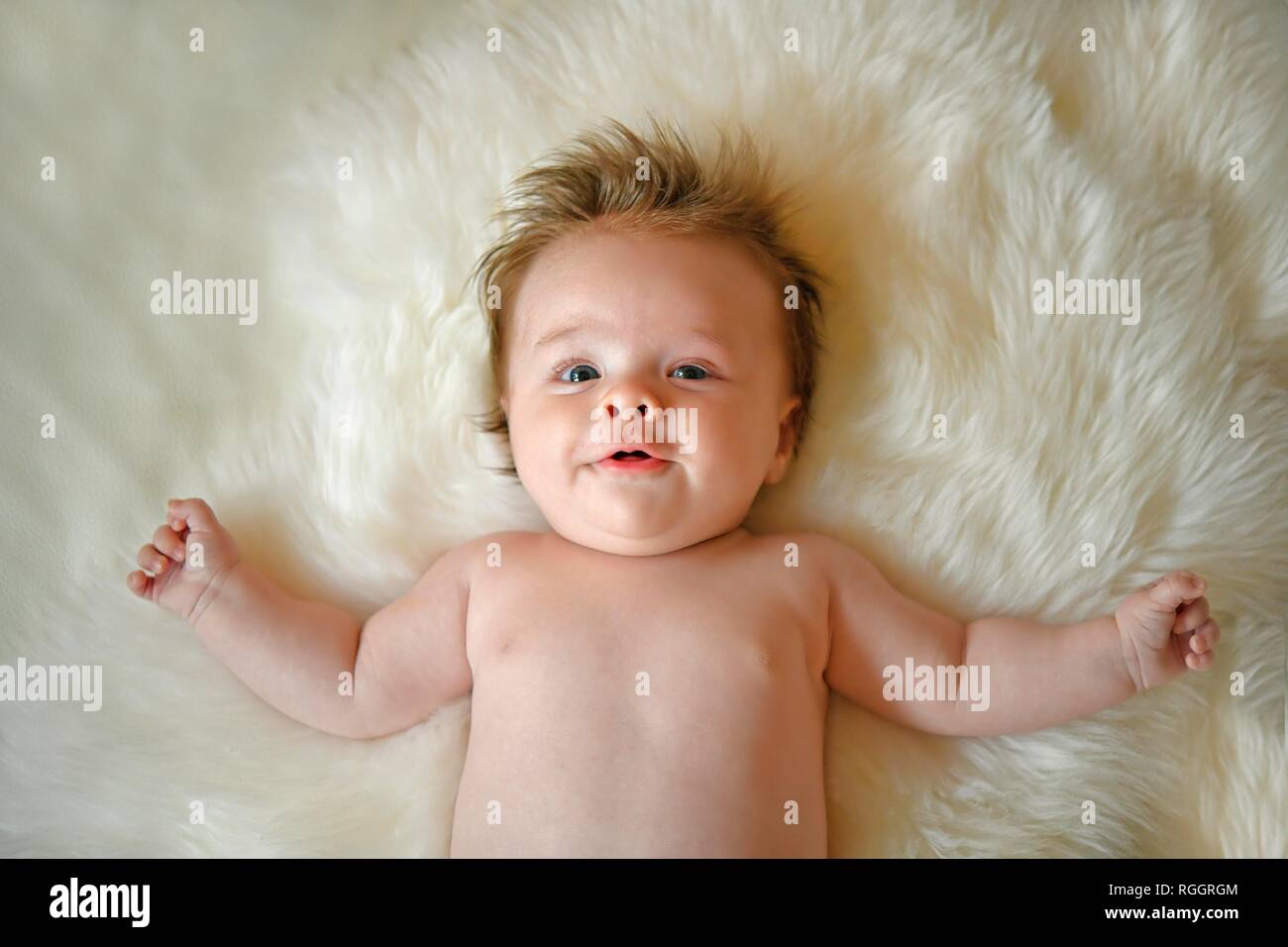 Infant, three months, lying on fur, portrait, Baden-Württemberg, Germany Stock Photo