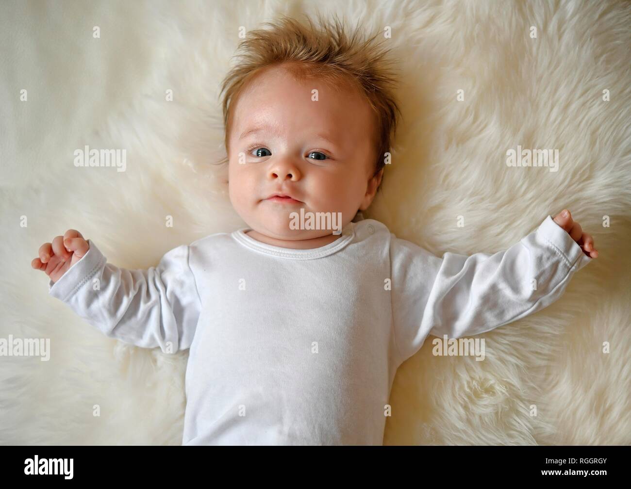 Infant, three months, lying on fur, portrait, Baden-Württemberg, Germany Stock Photo