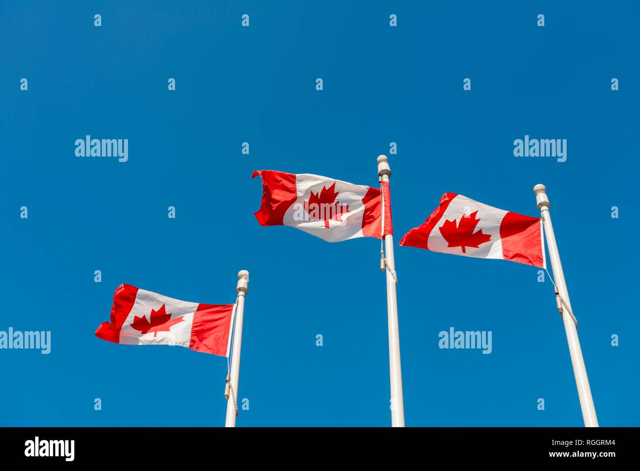 Three flagpoles with the Canadian flag, Vancouver, British Columbia, Canada Stock Photo